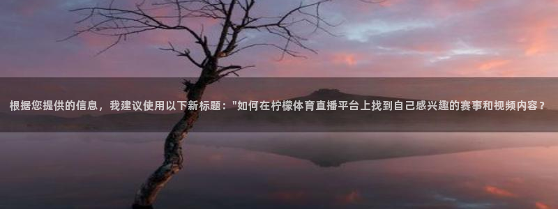 新闻图片
