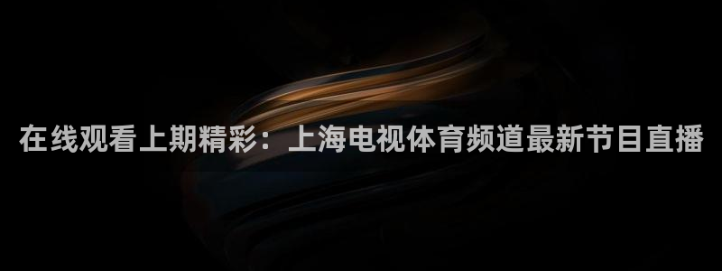 在线观看上期精彩：上海电视体育频道最新节目直播