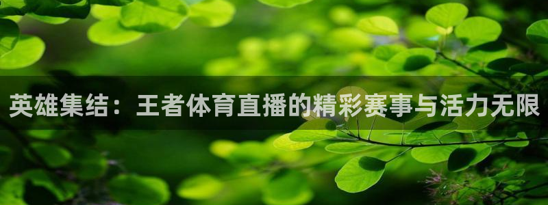 英雄集结：王者体育直播的精彩赛事与活力无限