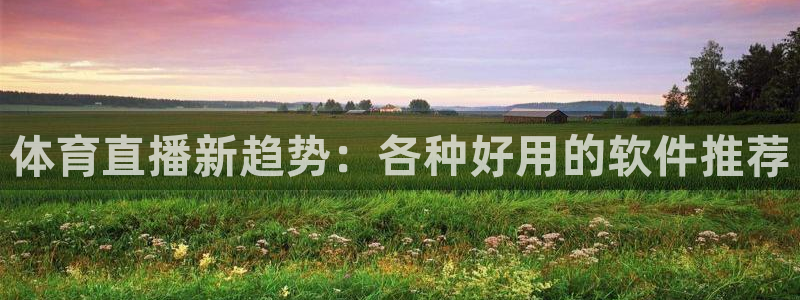 体育直播新趋势：各种好用的软件推荐