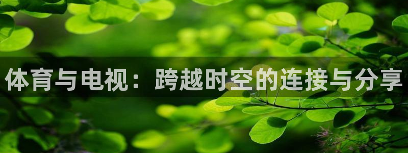 体育与电视：跨越时空的连接与分享